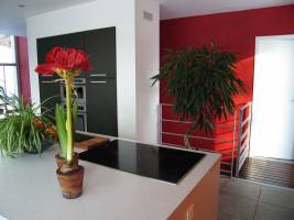 Nadège CHOFFEL - CHOFFEL NADEGE